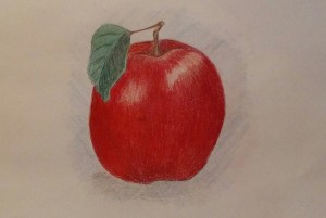 My apple drawings aren't great works of art, but they're reasonably good.