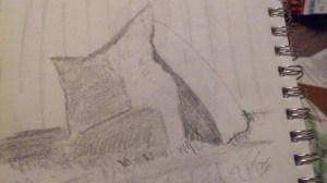 These look nothing like rocks, but they were stepping stones for me.