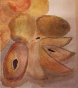 Sawo Fruit
