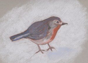 Bird in the Snow (2)