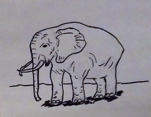 LG Risio Imports March 24 094