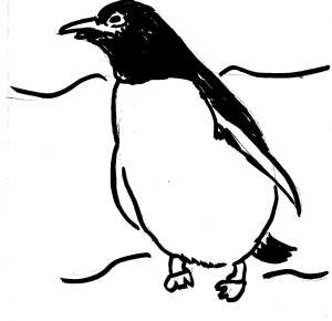 Penguin
