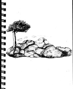 Graphite "B" Pencil only