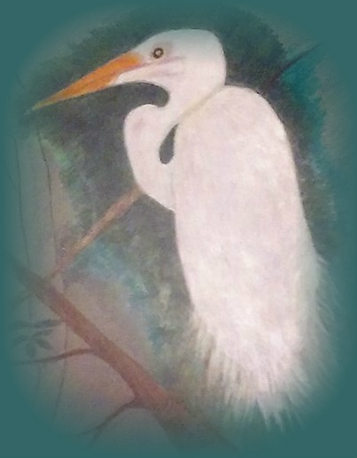 Snowy White Egret