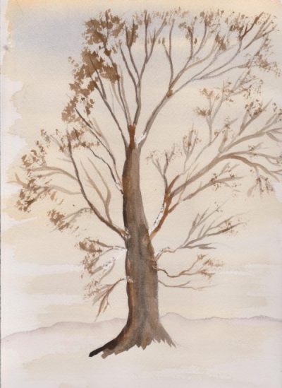 Winter Tree