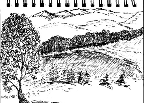 This ink sketch I made last December really wasn't all that bad. 