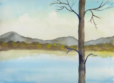 Tree Over Mountain Lake