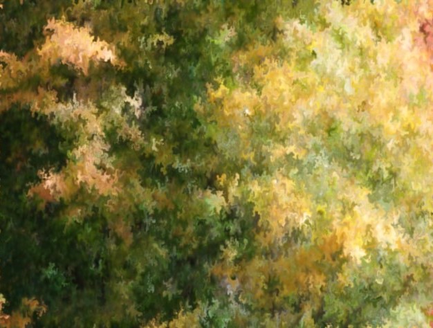 autumn-colors-in-oil-2