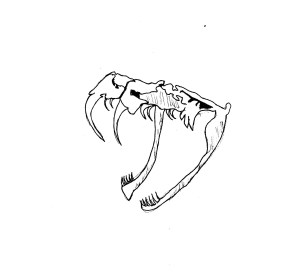Snake Poison Teeth (3)