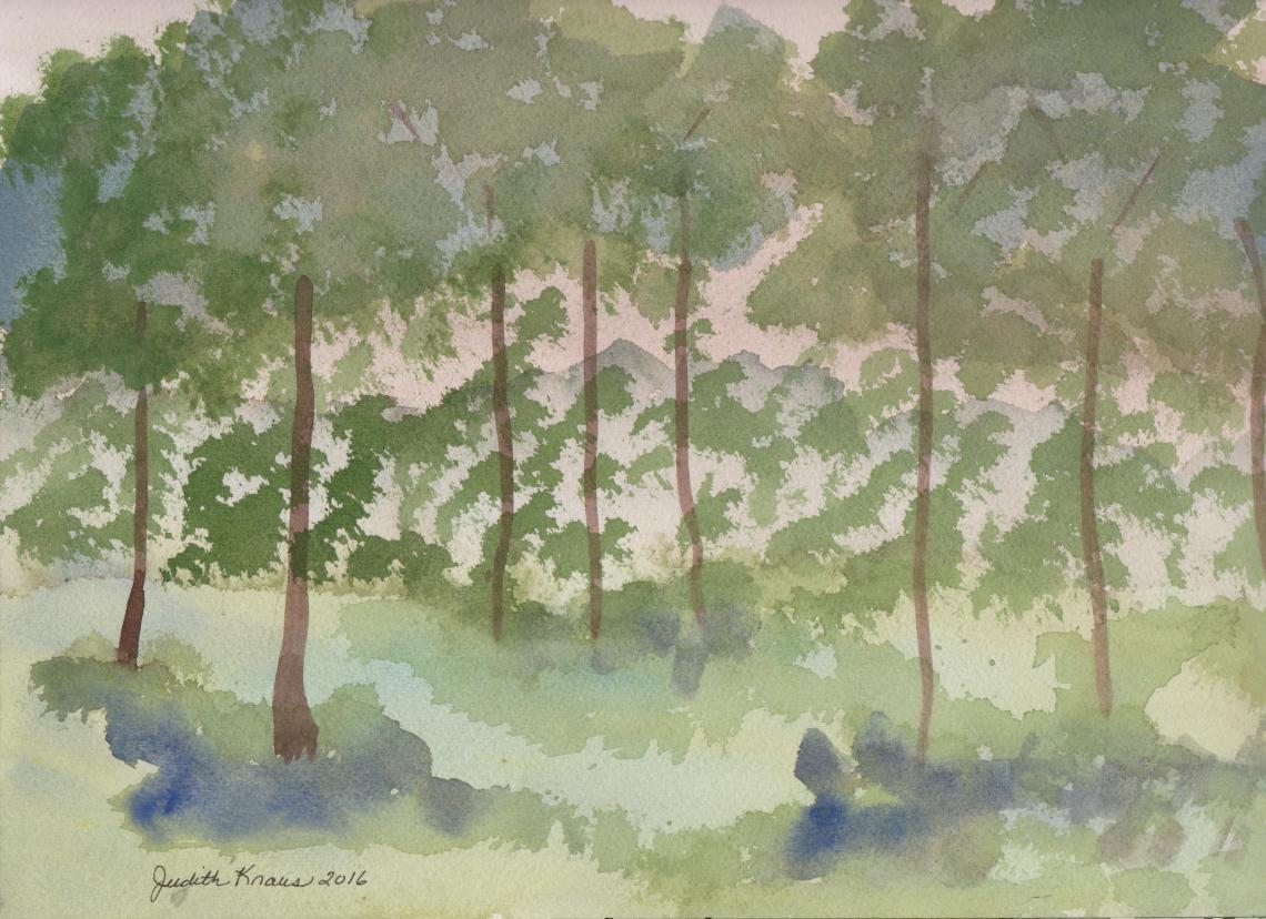 Watercolor 160702 Grove of Trees