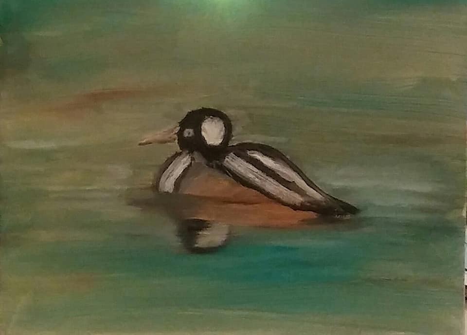 Mr. Merganser