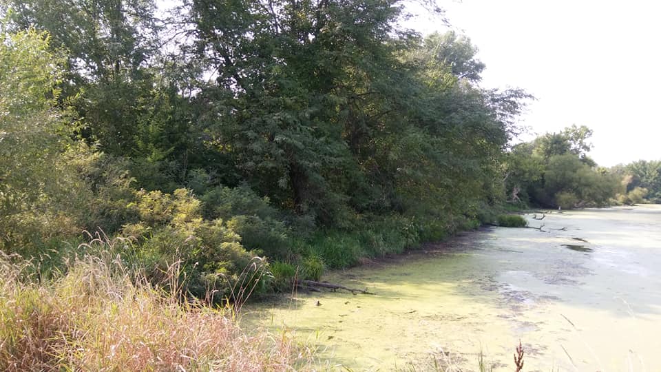 North Lake in the Light