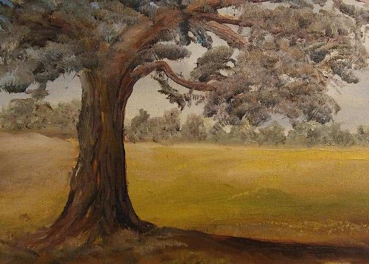 Old Tree in Pasture