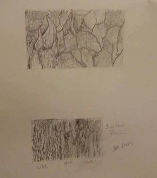 Tree Bark Practice Drawings