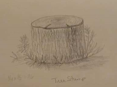 Tree Stump
