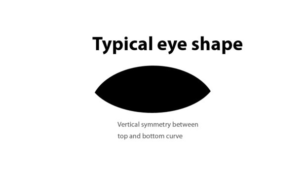 Typical Eye Shape (2)