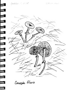 Inktober 1 Poisonous