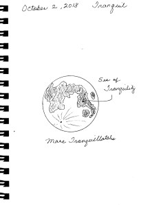 Inktober 2 Tranquil (2)