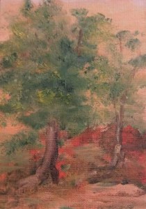 Tree Study in Warm Light (2)