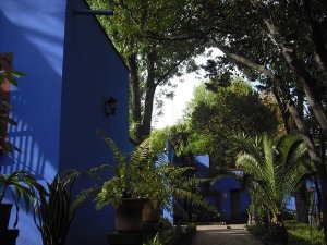 Casa Azul Garden 1