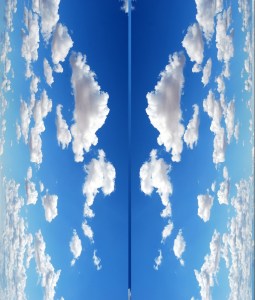 Great Van Project - Preliminary Photo Reference 1