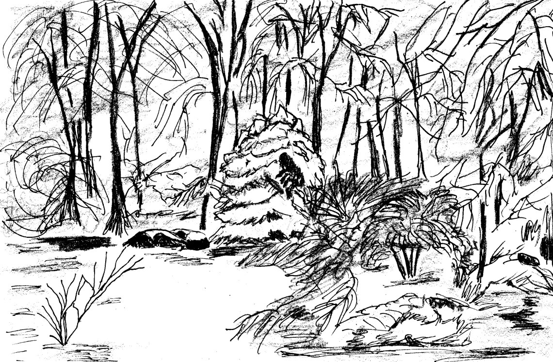 Inktober 2 - Leyland Cypress (2)