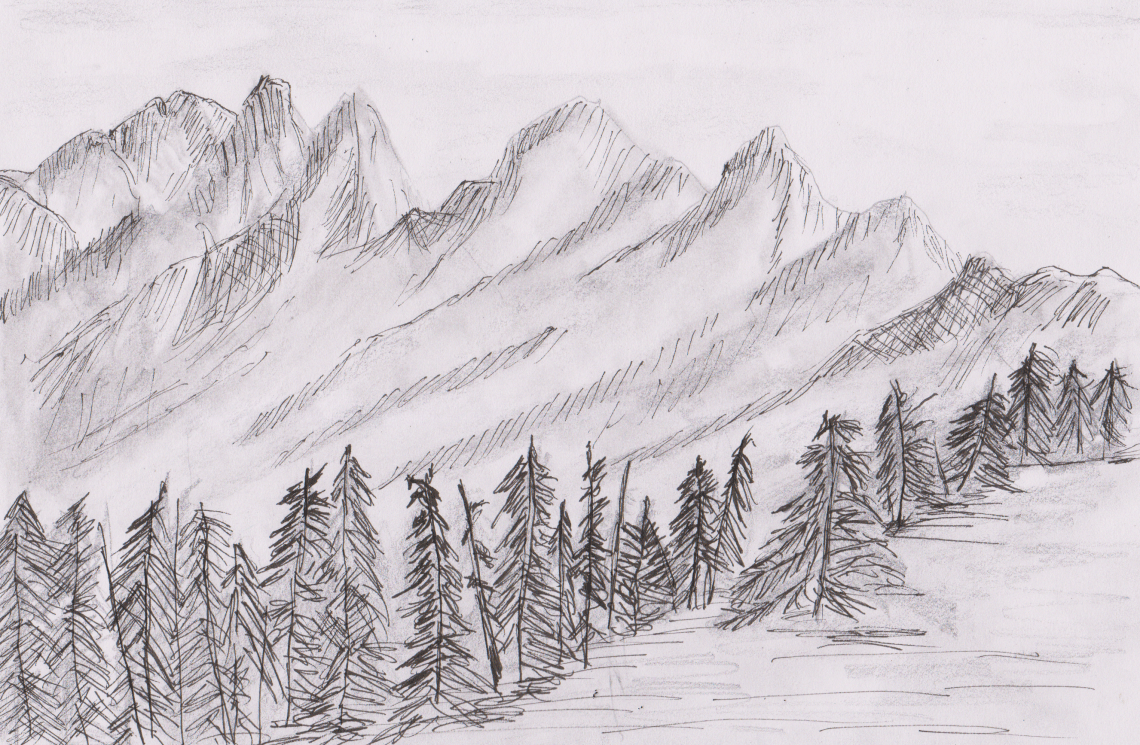 Inktober 11 - Spruce 1 (3)