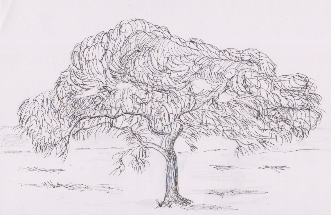 Inktober 19 - Japanese Maple (2)