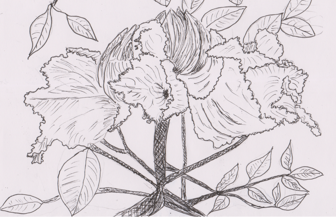 inktober-20-tulip-tree-2.png