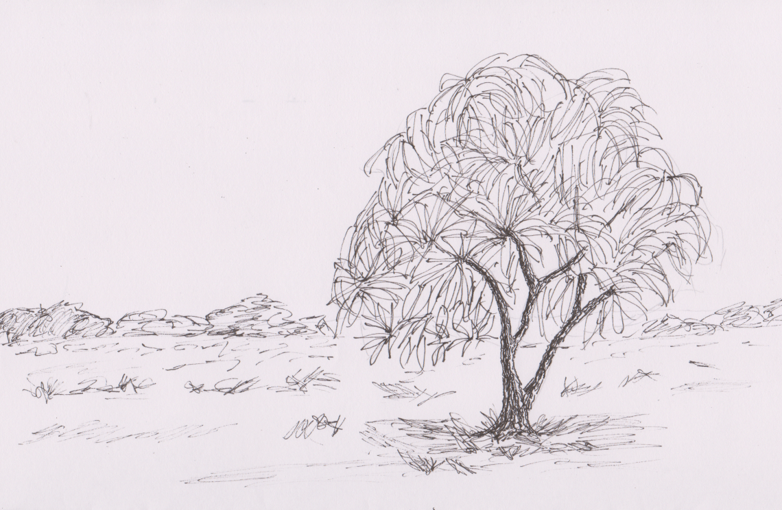 Inktober 22 - Mango Tree (2)