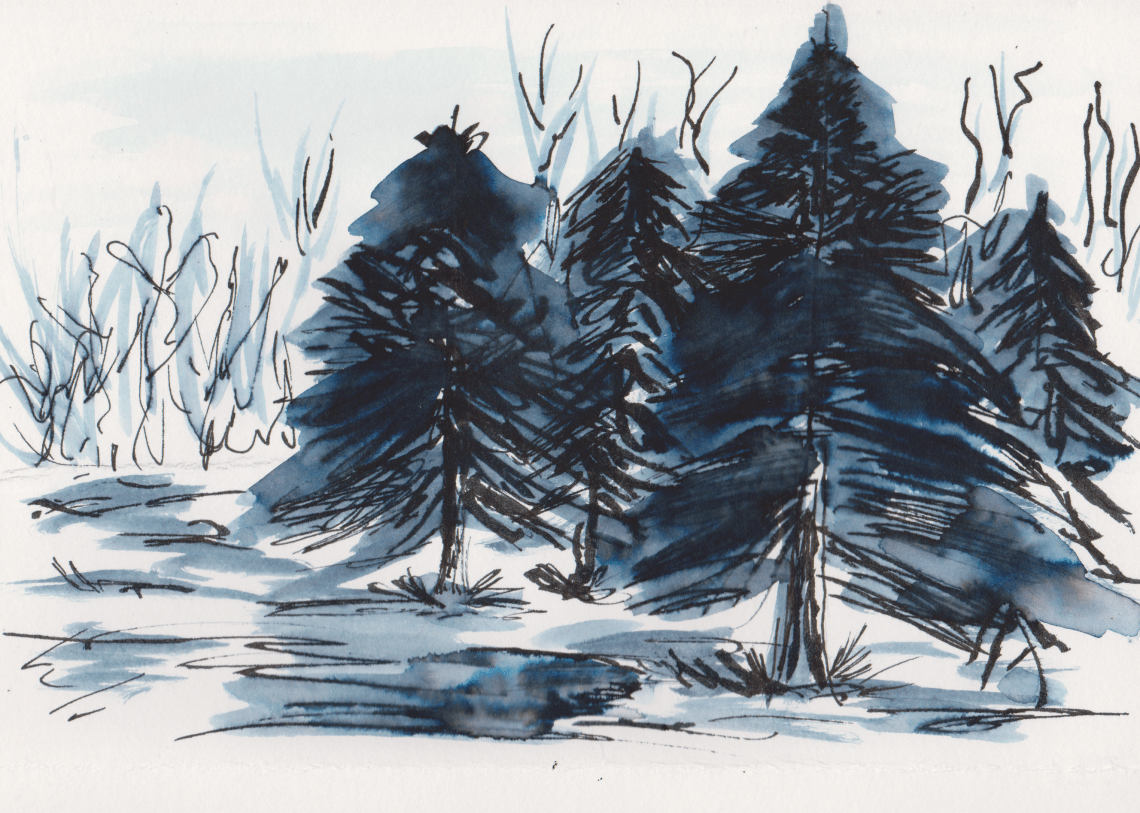 INktober 26 - Fir (2)