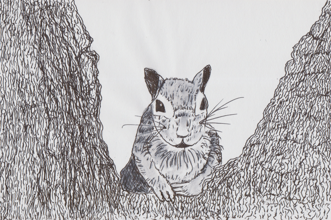 Inktober 30 - Oak Tree.png