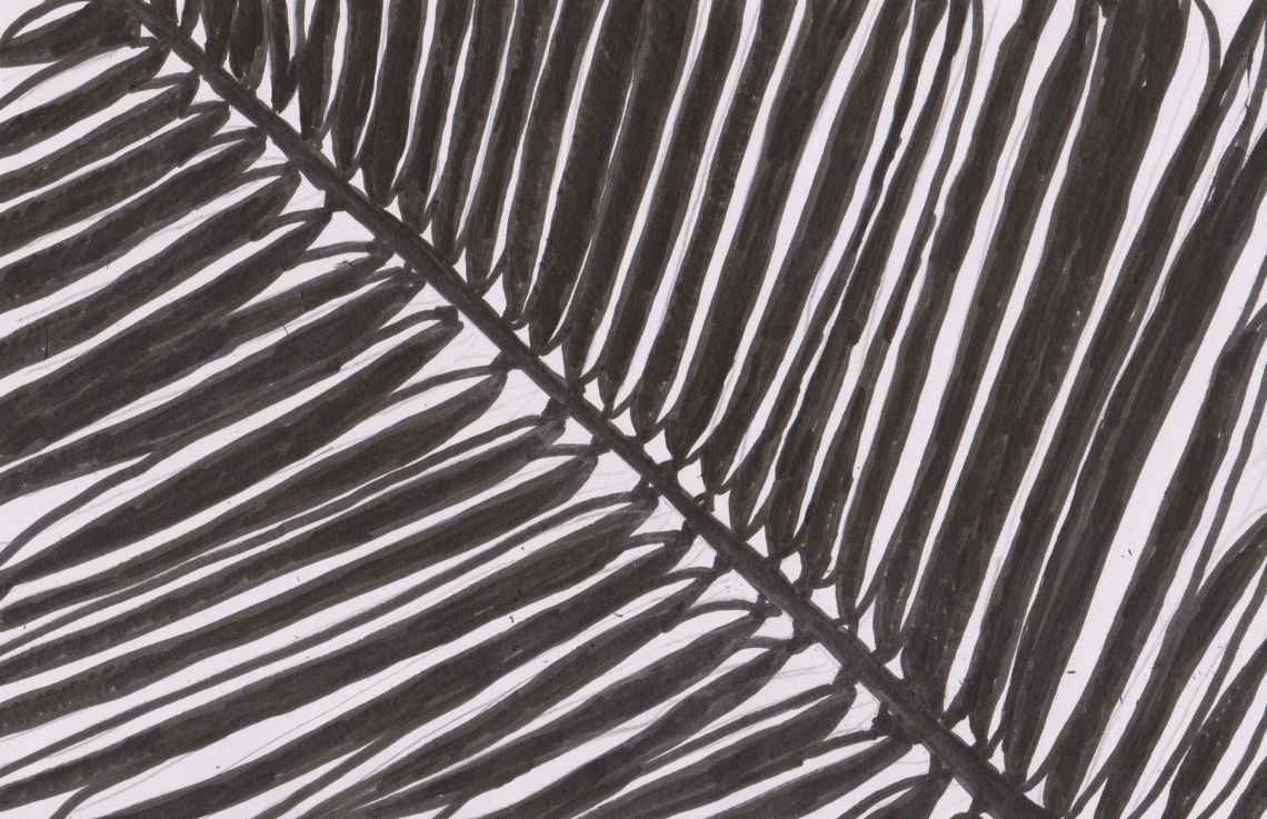 Inktober 6 Coconut Palm (2).png