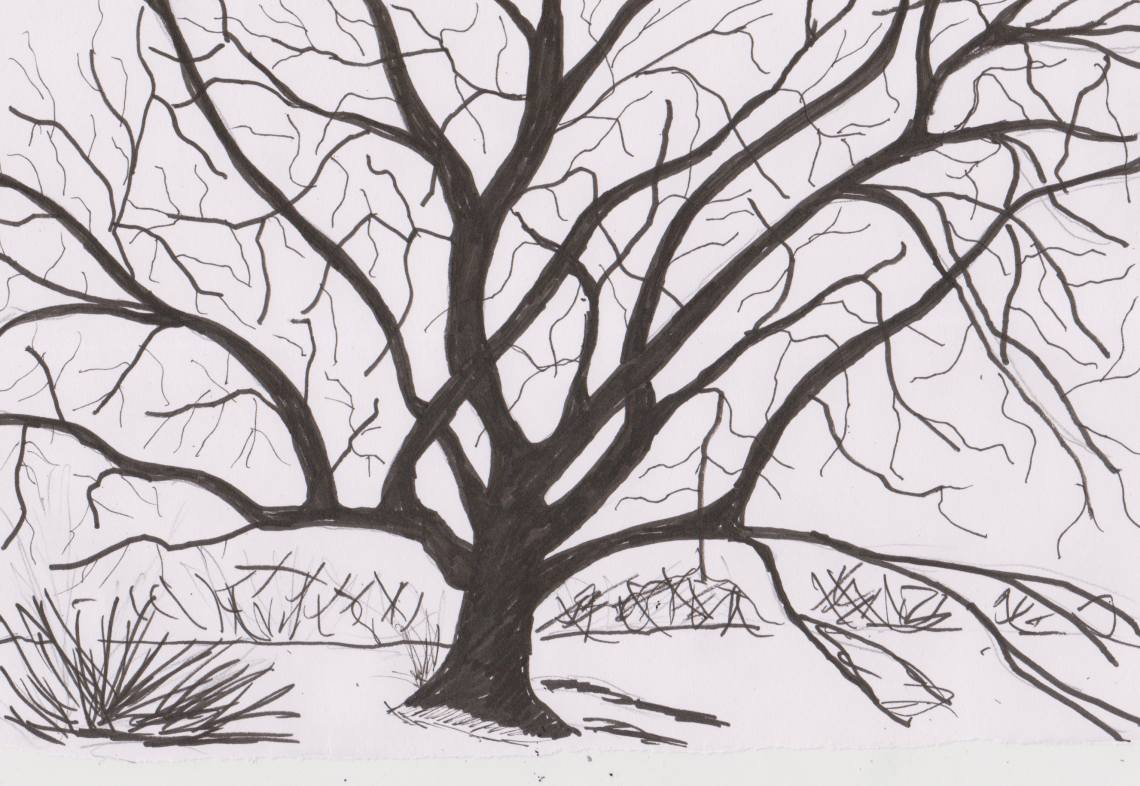 Inktober 9 - Velvet Mesquite (2).png
