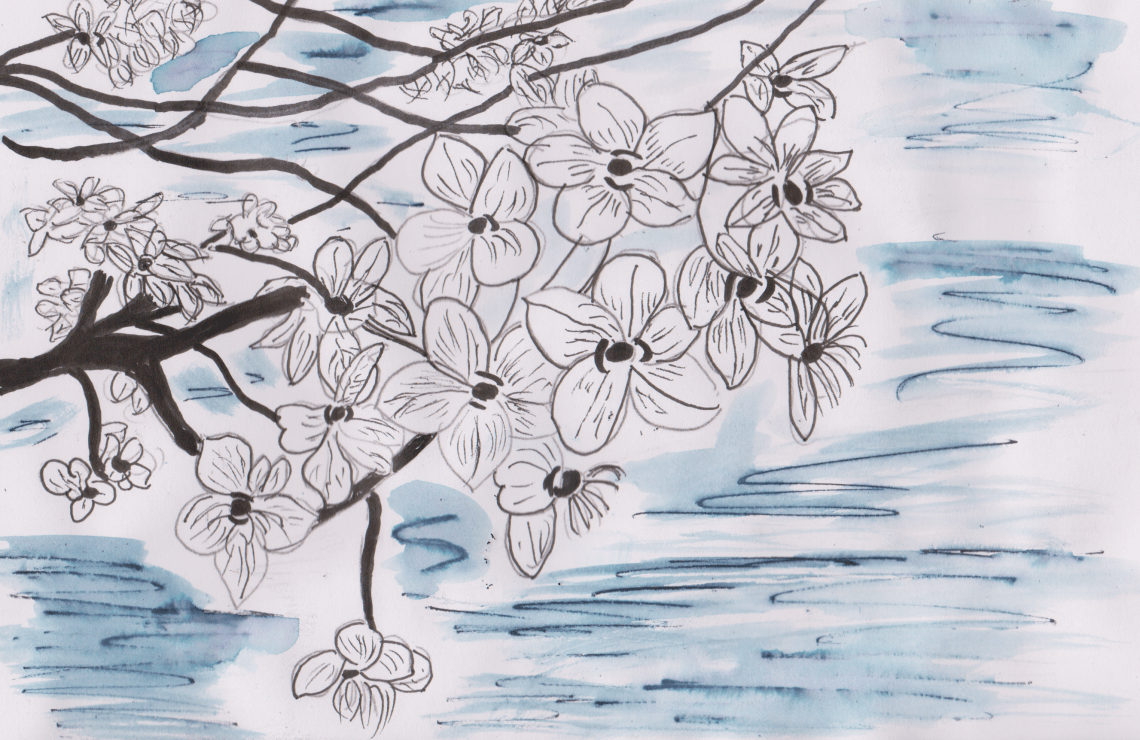 Inktober 18 - Bradford Blooms (2)