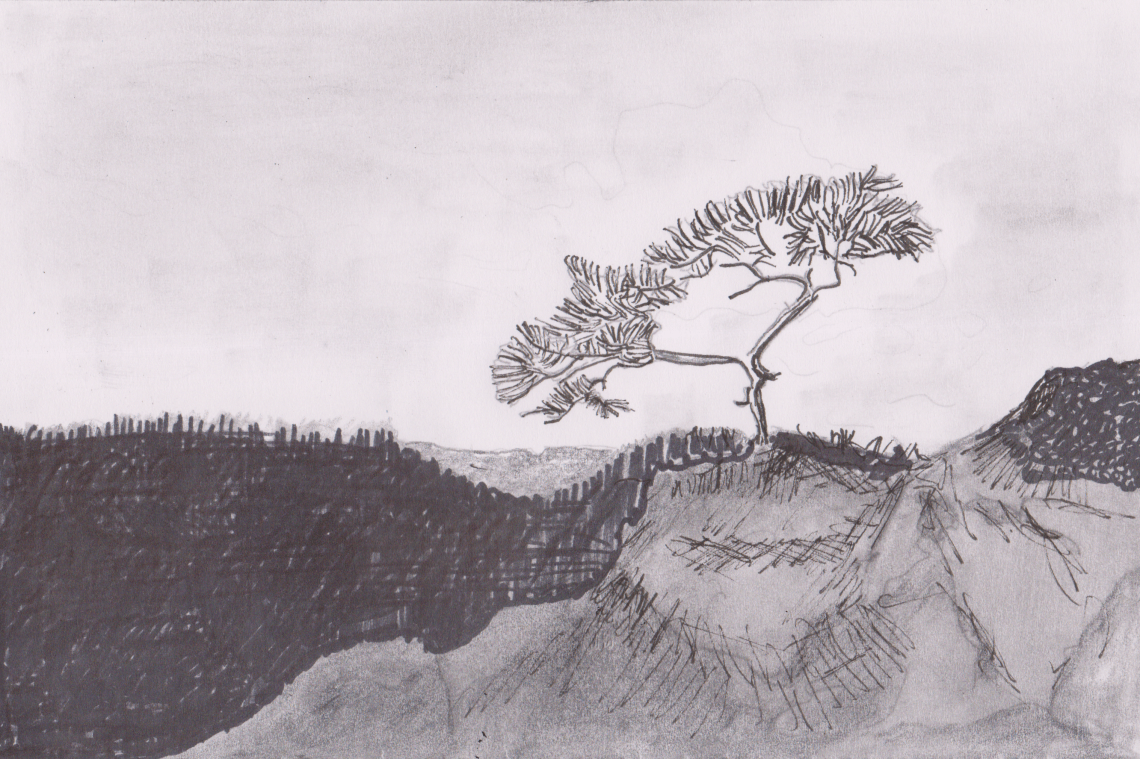 The Pine Tree on the Mountain (2)