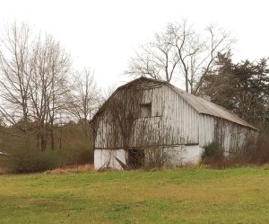 Evelyn Mayton Backroad Barn (2)