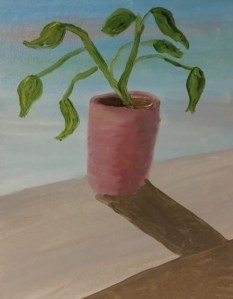 The Potted Plant on the Window Sill 01-2020 (3)