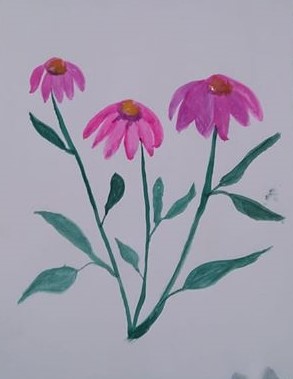 Coneflowers (2)