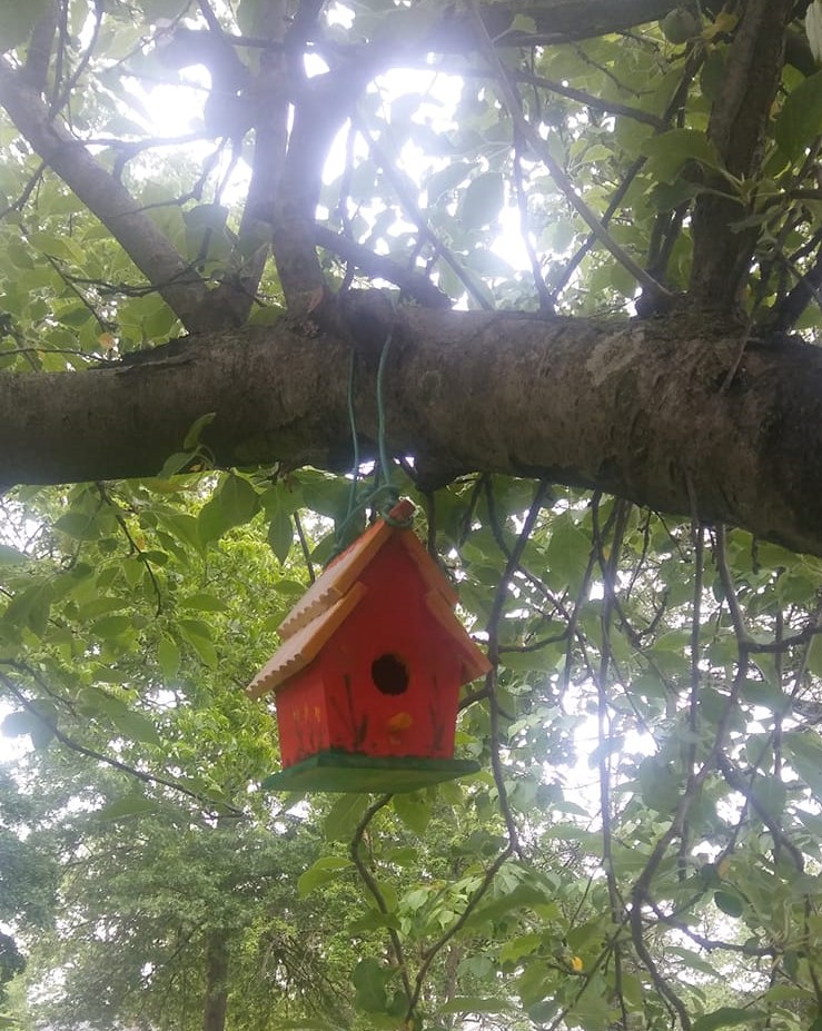 House in the Trees (2)