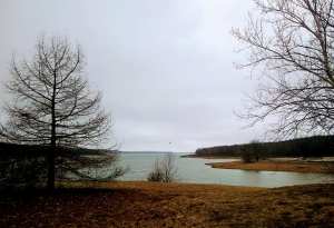 Karri's Christmas Present