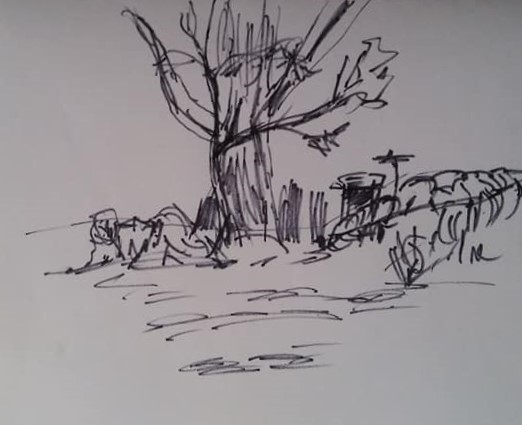 Yard Sketch 1 (2)