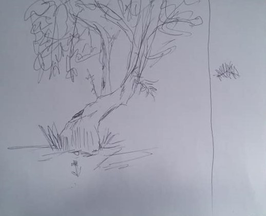 Yard Sketch 2 (2)