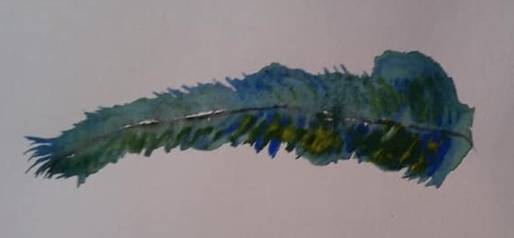 Feather (2)