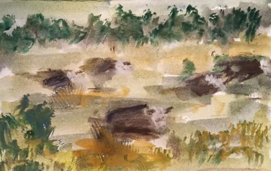 Countryside and Cows (2)