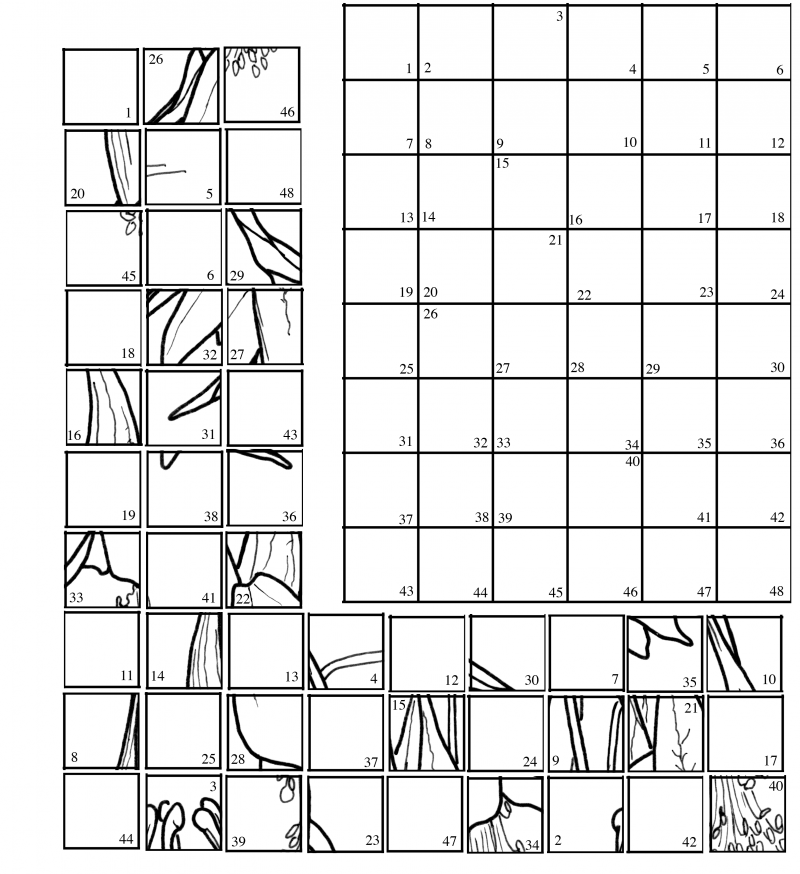 Drawing techniques – grids – artistcoveries