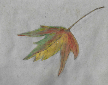 New Autumn Colors Leaf