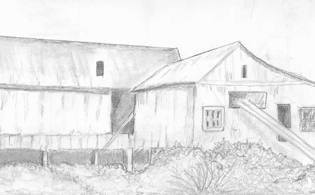 Barn Scan